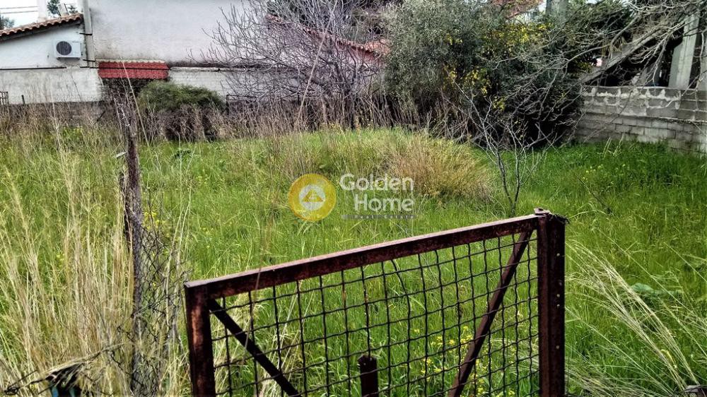 Αγροτεμάχια 180 τ.μ. προς πώληση, Αγία Παρασκευή Αχαρνών