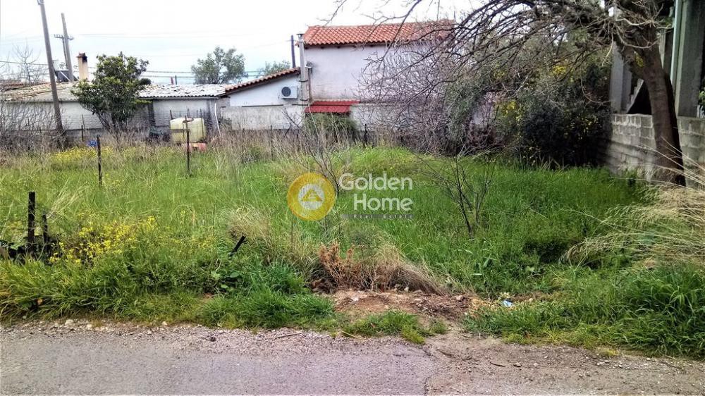 Αγροτεμάχια 180 τ.μ. προς πώληση, Αγία Παρασκευή Αχαρνών