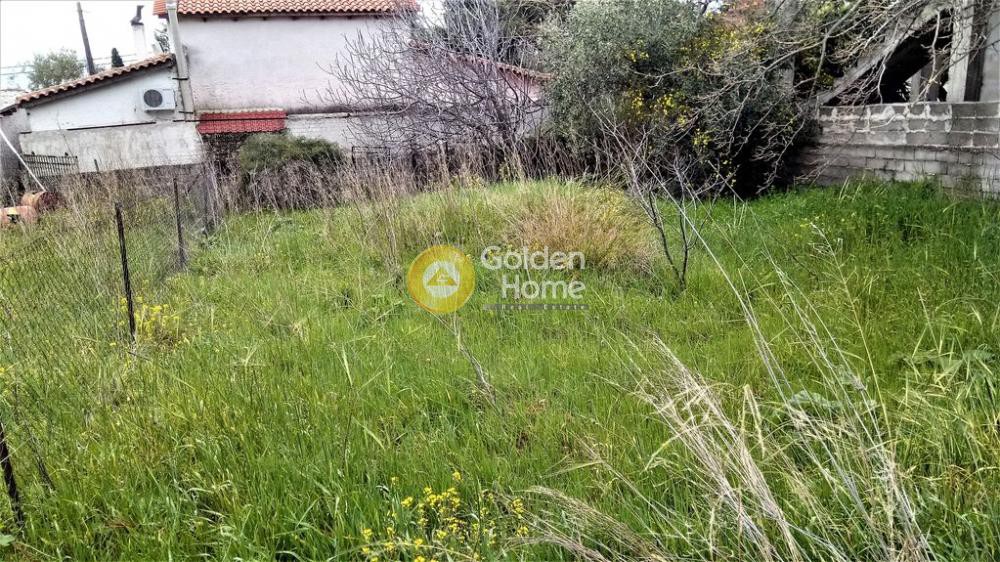 Αγροτεμάχια 180 τ.μ. προς πώληση, Αγία Παρασκευή Αχαρνών