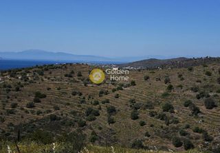 Οικόπεδο 320 τ.μ. για πώληση