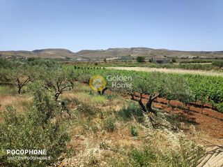 Αγροτεμάχια 5.700 τ.μ. για πώληση
