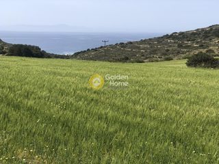 Αγροτεμάχια 4.715 τ.μ. για πώληση