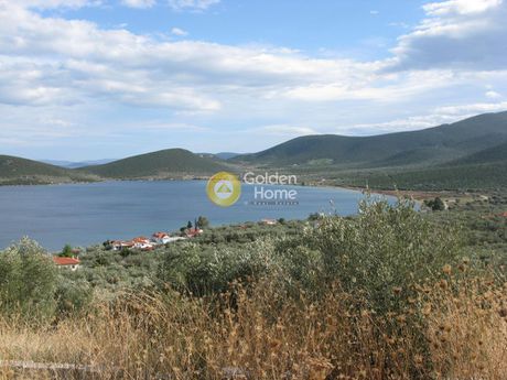 Parcel 5.326sqm for sale-Sourpi » Nies