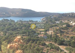 Αγροτεμάχια 5.256 τ.μ. για πώληση