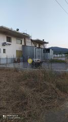 Κατάστημα 200 τ.μ. για πώληση, Εύβοια, Δύστος-thumb-4