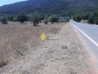 Οικόπεδο 4.600 τ.μ. για πώληση, Αττική - Υπόλοιπο, Αυλώνα-thumb-5