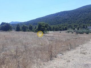 Οικόπεδο 4.600 τ.μ. για πώληση, Αττική - Υπόλοιπο, Αυλώνα-thumb-2