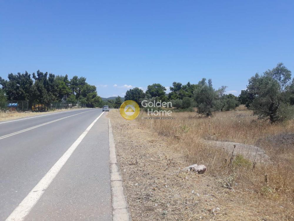 Οικόπεδο 4.600 τ.μ. προς πώληση, Αυλώνα Αττικής