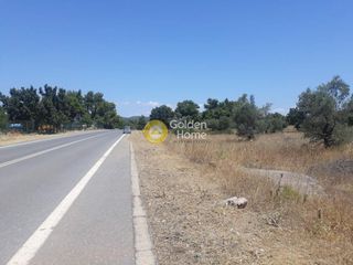Οικόπεδο 4.600 τ.μ. για πώληση, Αττική - Υπόλοιπο, Αυλώνα-thumb-3
