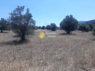 Οικόπεδο 4.600 τ.μ. για πώληση, Αττική - Υπόλοιπο, Αυλώνα-thumb-1