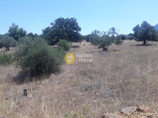 Οικόπεδο 4.600 τ.μ. για πώληση