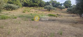 Οικόπεδο 5.390 τ.μ. για πώληση, Αχαΐα, Μεσσατίδα-thumb-5