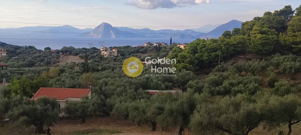 Οικόπεδο 5.390 τ.μ. για πώληση, Αχαΐα, Μεσσατίδα