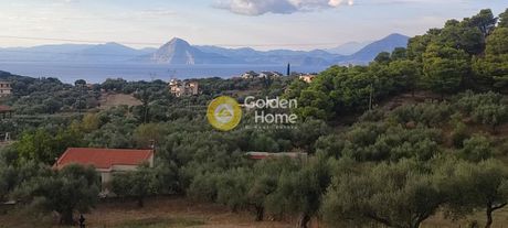 Οικόπεδο 5.390τ.μ. για πώληση-Μεσσατίδα » Καλλιθεόκαμπος