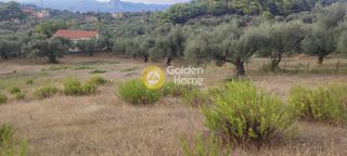 Οικόπεδο 5.390 τ.μ. για πώληση, Αχαΐα, Μεσσατίδα-thumb-4
