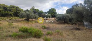 Οικόπεδο 5.390 τ.μ. για πώληση, Αχαΐα, Μεσσατίδα-thumb-10