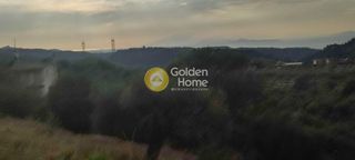 Οικόπεδο 5.390 τ.μ. για πώληση, Αχαΐα, Μεσσατίδα-thumb-6
