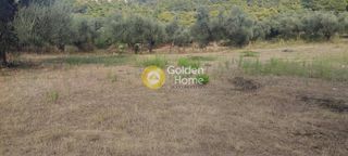 Οικόπεδο 5.390 τ.μ. για πώληση, Αχαΐα, Μεσσατίδα-thumb-12
