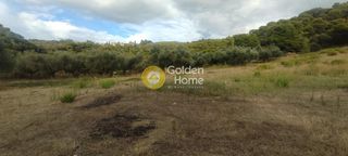 Οικόπεδο 5.390 τ.μ. για πώληση, Αχαΐα, Μεσσατίδα-thumb-1