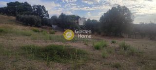 Οικόπεδο 5.390 τ.μ. για πώληση, Αχαΐα, Μεσσατίδα-thumb-3
