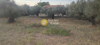 Οικόπεδο 5.390 τ.μ. για πώληση, Αχαΐα, Μεσσατίδα-thumb-7