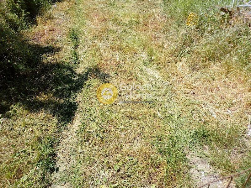 Οικόπεδο 1.617 τ.μ. πρός πώληση, Μαγνησία, Αρτέμιδα