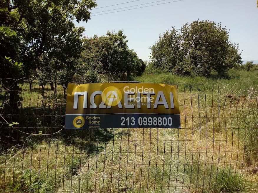 Οικόπεδο 1.617 τ.μ. πρός πώληση, Μαγνησία, Αρτέμιδα