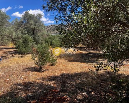 Οικόπεδο 7.800τ.μ. για πώληση-Γάζι » Καβροχώρι
