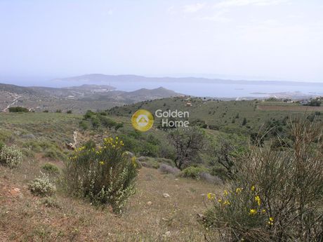 Αγροτεμάχια 4.300τ.μ. για πώληση-Κερατέα » Μανούτσο