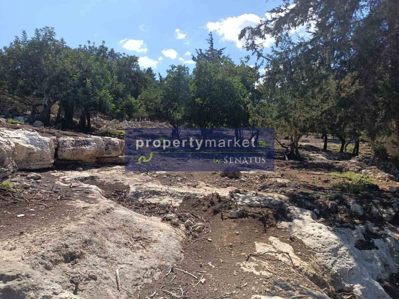 Αγροτεμάχια 20.000 τ.μ. πρός πώληση, Ν. Ρεθύμνου, Νικηφόρος Φωκάς