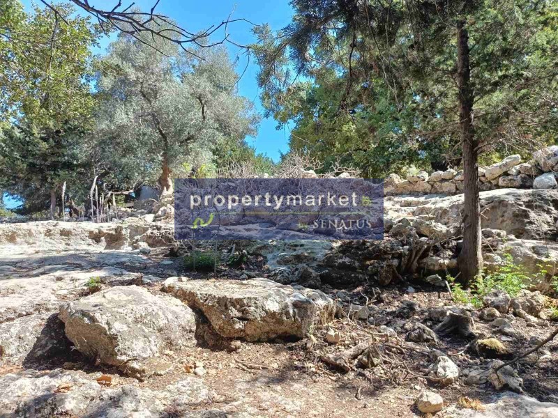 Αγροτεμάχια 20.000 τ.μ. πρός πώληση, Ν. Ρεθύμνου, Νικηφόρος Φωκάς