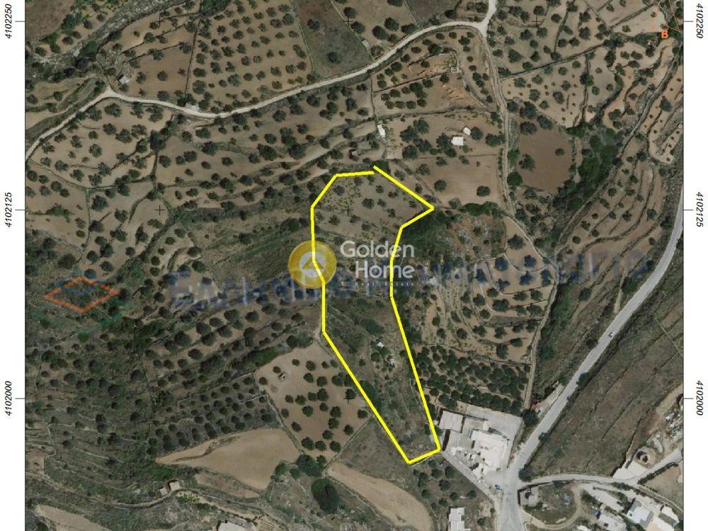 Αγροτεμάχια 8.000 τ.μ. προς πώληση, Λεύκες Πάρου