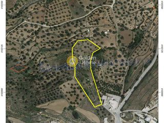 Αγροτεμάχια 8.000 τ.μ. για πώληση