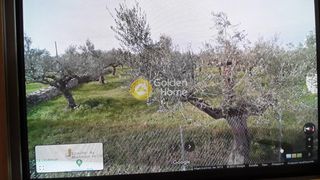 Οικόπεδο 5.230 τ.μ. για πώληση, Μεσσηνία, Λεύκτρος-thumb-2
