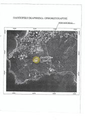 Οικόπεδο 5.230 τ.μ. για πώληση, Μεσσηνία, Λεύκτρος-thumb-5