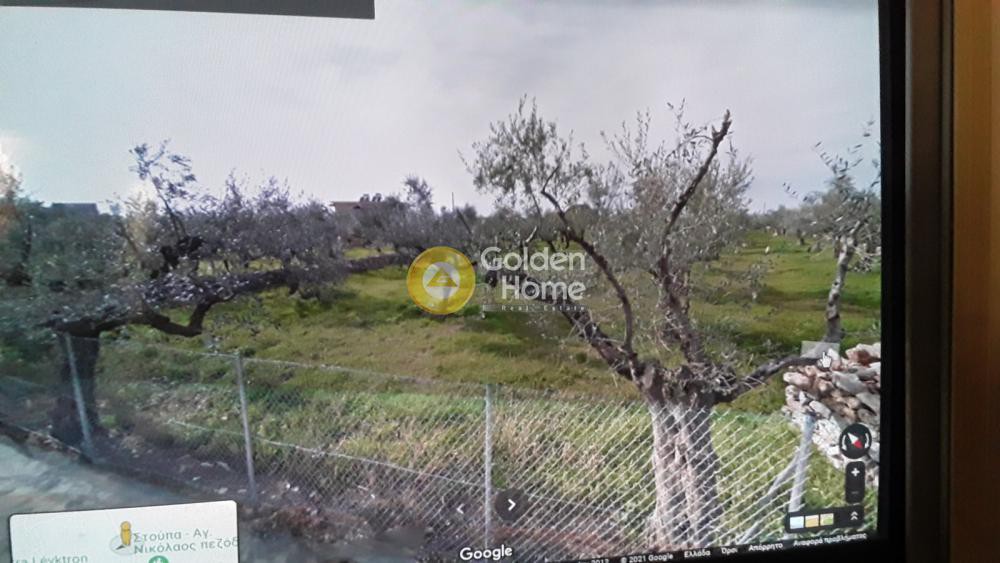 Οικόπεδο 5.230 τ.μ. προς πώληση, Στούπα