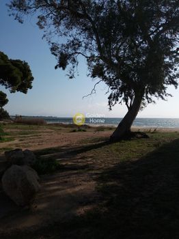 Συγκρότημα διαμερισμάτων 315τ.μ. για πώληση-Αρτέμιδα (λούτσα) » Υπαπαντή