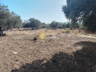 Οικόπεδο 6.737 τ.μ. για πώληση, Εύβοια, Κάρυστος-thumb-1