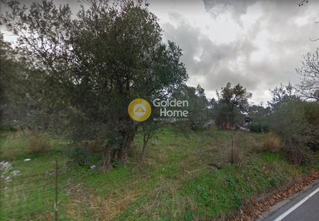 Οικόπεδο 600τ.μ. για πώληση-Νάξος - δρυμαλία » Καλόξυλος
