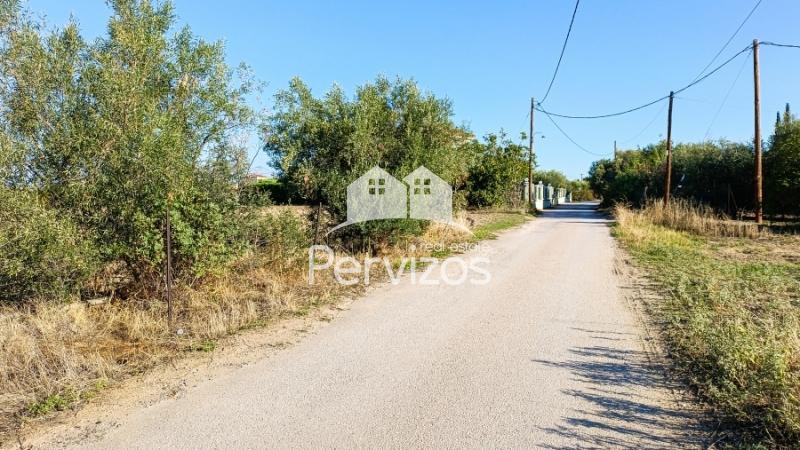Αγροτεμάχια 4.000 τ.μ. πρός πώληση, Θεσσαλονίκη - Περιφ/Κοί Δήμοι, Επανομή