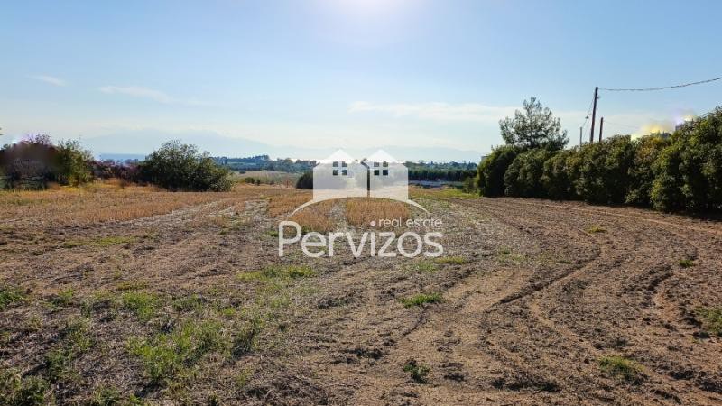 Αγροτεμάχια 4.000 τ.μ. πρός πώληση, Θεσσαλονίκη - Περιφ/Κοί Δήμοι, Επανομή
