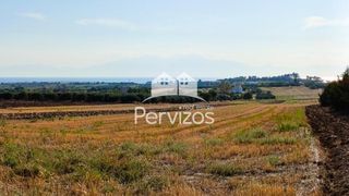 Αγροτεμάχια 4.000 τ.μ. για πώληση
