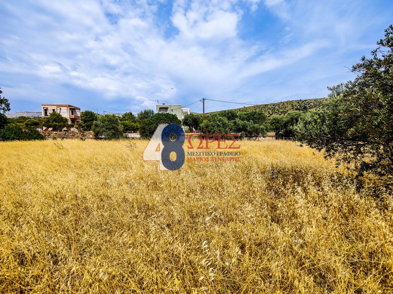 Οικόπεδο 5.845 τ.μ. προς πώληση, Πόλη Χίου