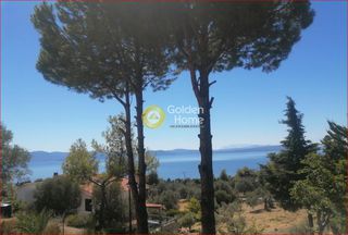 Συγκρότημα διαμερισμάτων 340 τ.μ. για πώληση, Εύβοια, Μεσσαπία-thumb-5