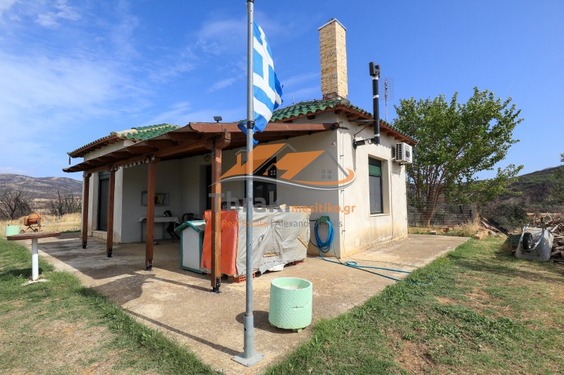 Μονοκατοικία 50 τ.μ. προς πώληση, Δωρικό Τραϊανούπολης