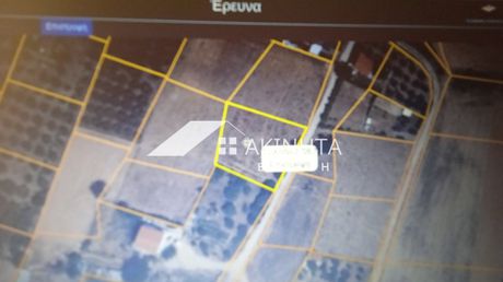 Αγροτεμάχια 1.300τ.μ. για πώληση-Αλεξανδρούπολη » Παλαγία