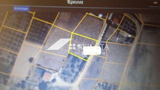 Αγροτεμάχια 1.300 τ.μ. για πώληση