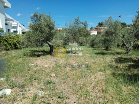 Land plot 889sqm for sale-Com. Kapandriti » Kapandriti