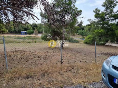 Land plot 1.000sqm for sale-Pikermi » Dioni