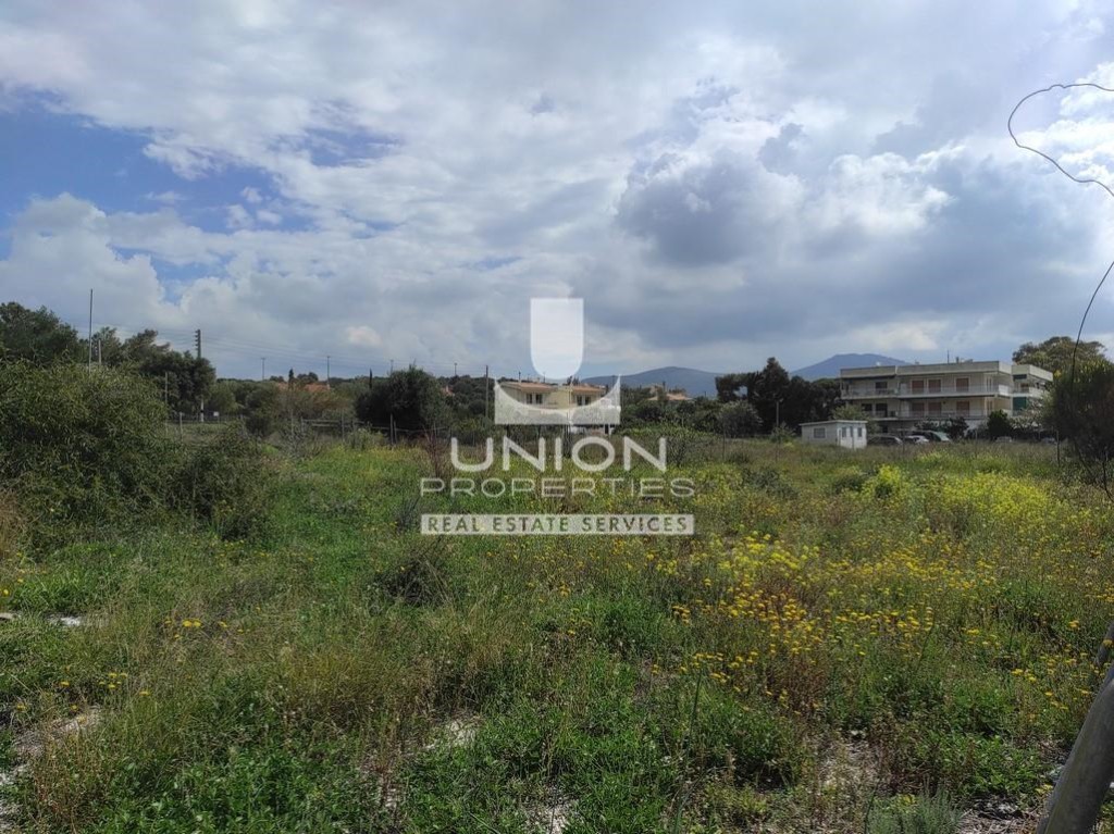 Αγροτεμάχια 1.200 τ.μ. προς ενοικίαση, Λαγονήσι